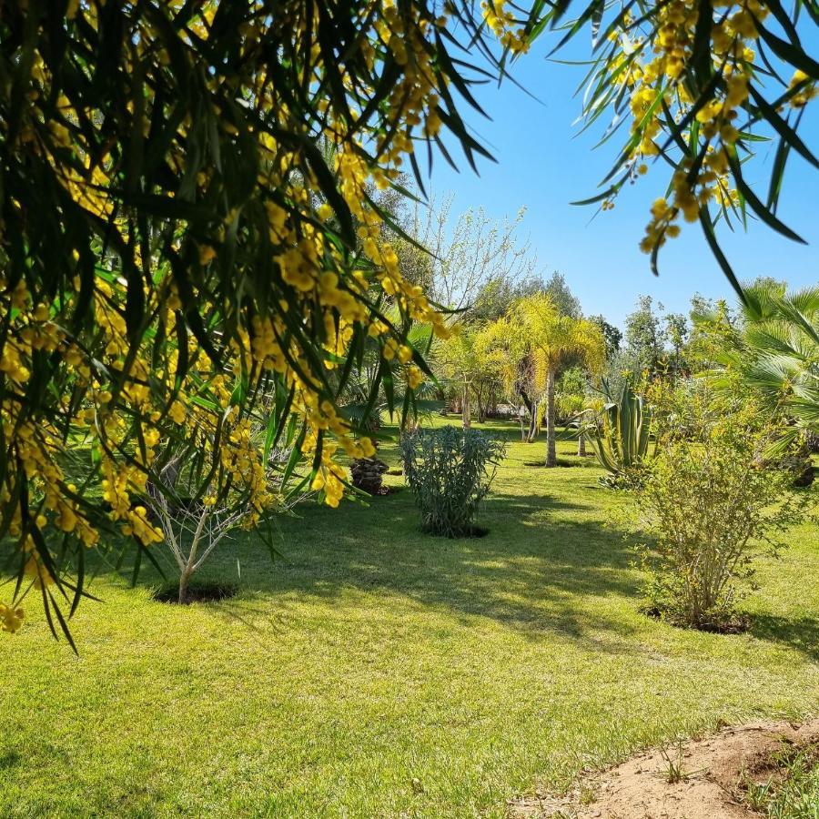Riad Les Deux Citronniers Marrakesh Bagian luar foto