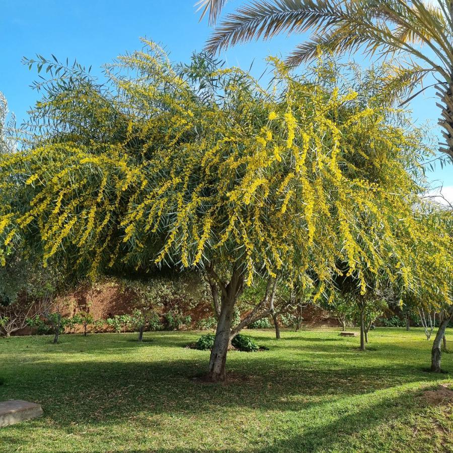 Riad Les Deux Citronniers Marrakesh Bagian luar foto
